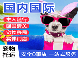 台州路桥机场快递国际宠物托运 【国